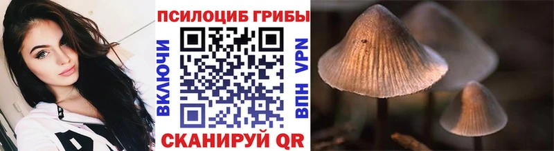 Псилоцибиновые грибы Cubensis  как найти закладки  Ступино 
